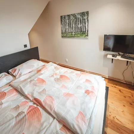 Duzy Duszniki-zdroj アパート ドゥシュニキ・ズドルイ