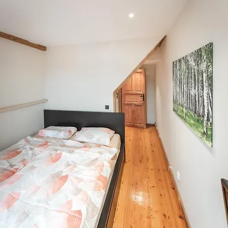 Apartment Duzy Duszniki-zdroj *