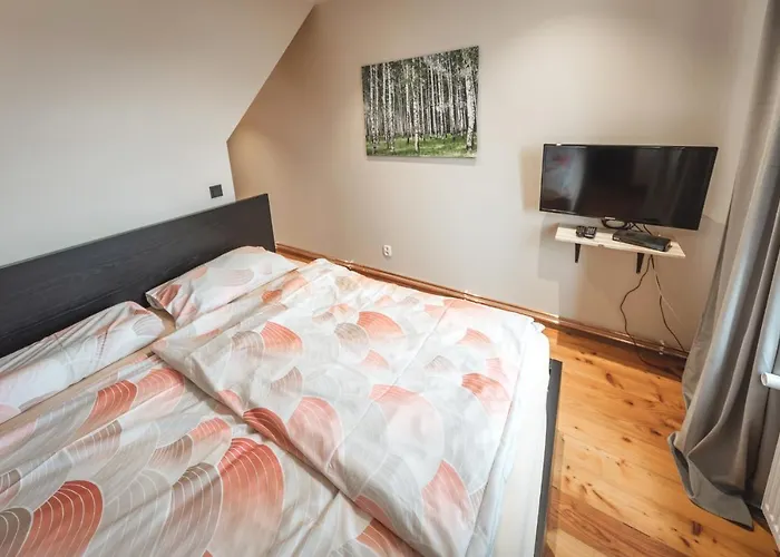 Duzy Duszniki-zdroj Apartment Duszniki Zdroj