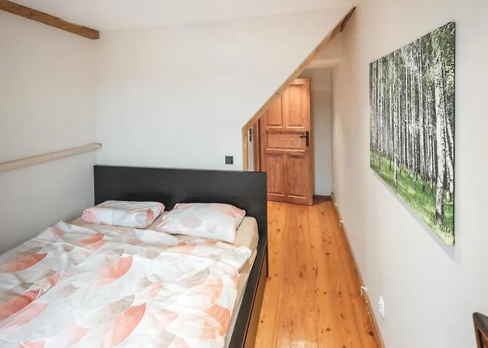 Apartment Duzy Duszniki-zdroj *